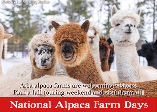 /online/TheHummData/listing media/Alpaca-Days.png